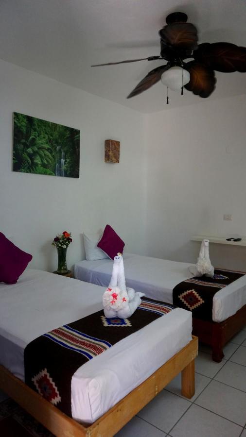 Selva Y Mar Apart Hotel Playa del Carmen Exterior photo